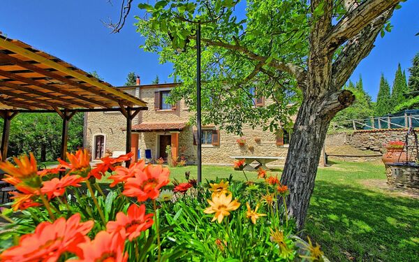 Villa Luciano: Trädgård