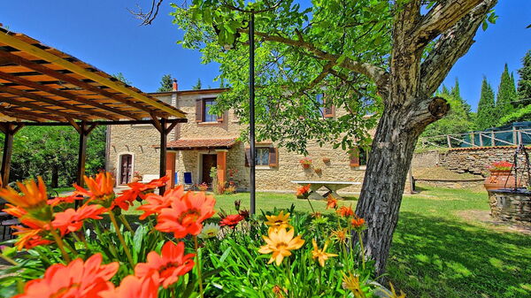 Villa Luciano: Trädgård