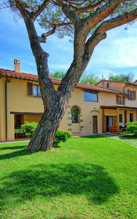 Villa Morandi: Trädgård, Utomhus