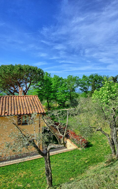 Villa Morandi: Utomhus