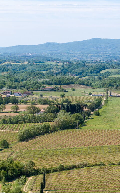 Villa Morandi: Utomhus, Visningar