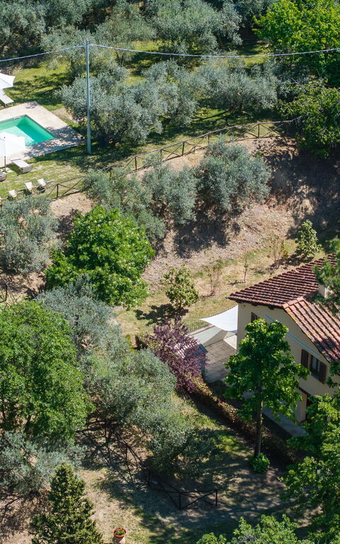Villa Morandi: Utomhus, Visningar
