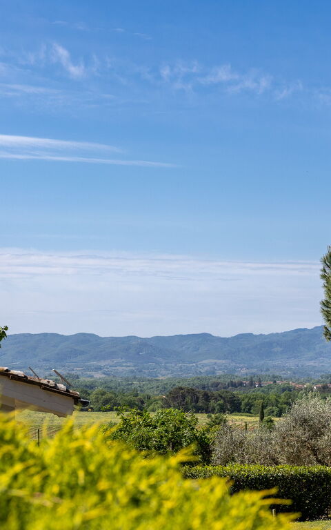Villa Morandi: Utomhus, Visningar