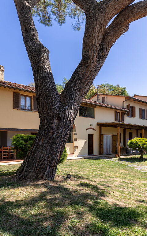 Villa Morandi: Exteriör, Trädgård, Utomhus