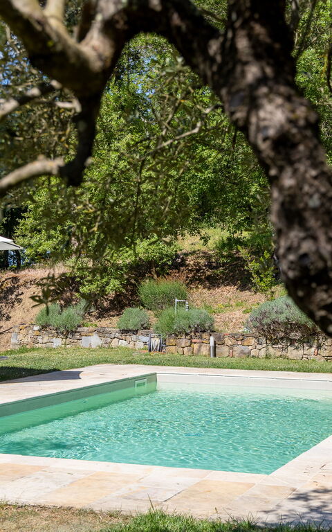 Villa Morandi: slå samman, Trädgård, Utomhus, Visningar