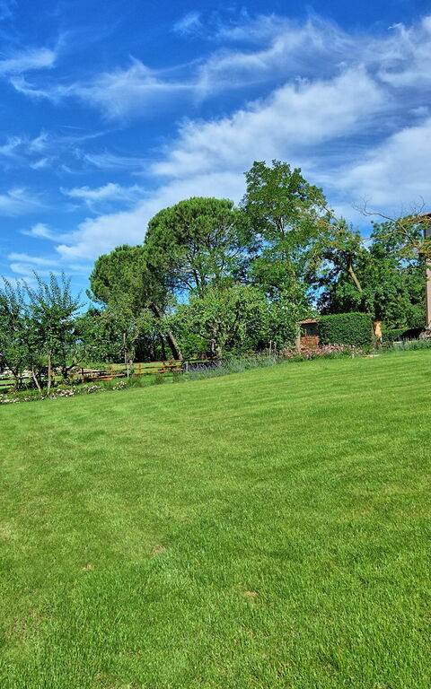 Villa Marietta: Trädgård