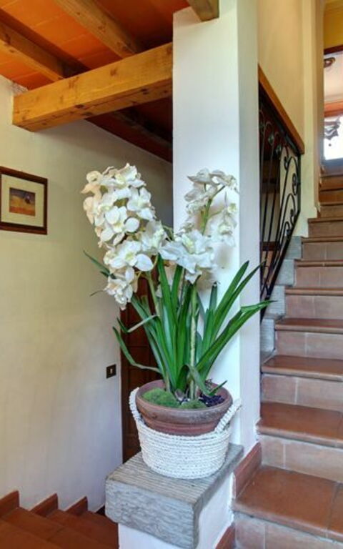 Villa Acacia: Andra rummet