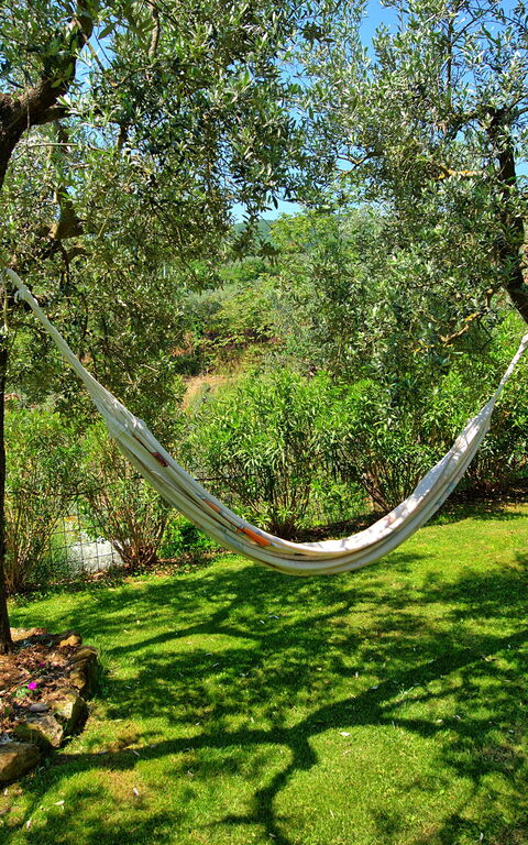 La Ruota: Trädgård