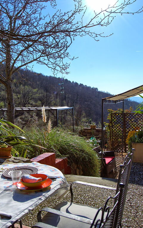 Villa Tenuta Lonciano: Trädgård, Utomhus