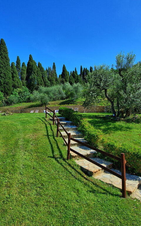 Villa Nora: Trädgård