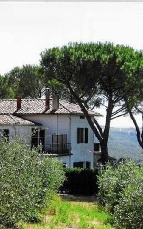 Villa Treppiè: Exteriör, Trädgård