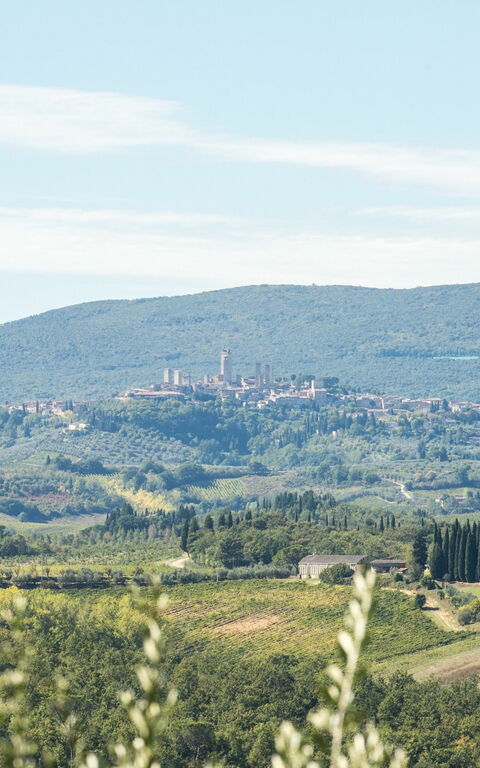 Villa Treppiè: Visningar