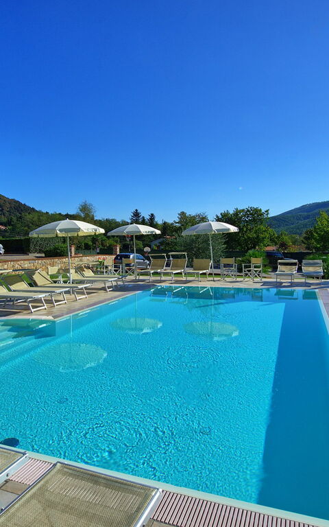 Flavia: slå samman, Trädgård, Utomhus