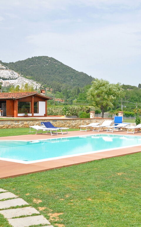 Flavia: slå samman, Trädgård