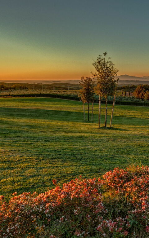 Montaione: Trädgård