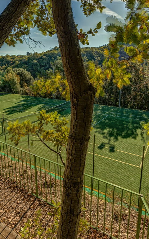 Montaione: Trädgård