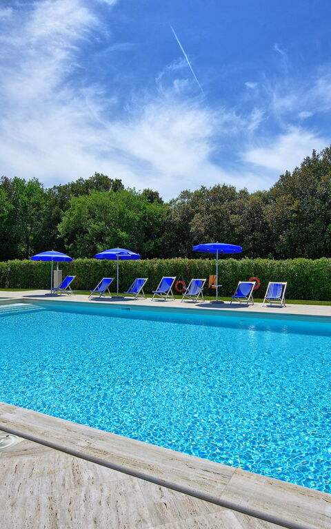 Montaione: slå samman