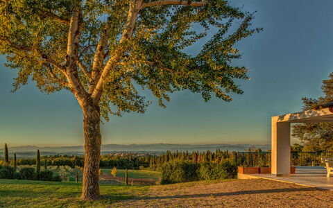 Semesterboende Fornace 2: Exteriör, Trädgård