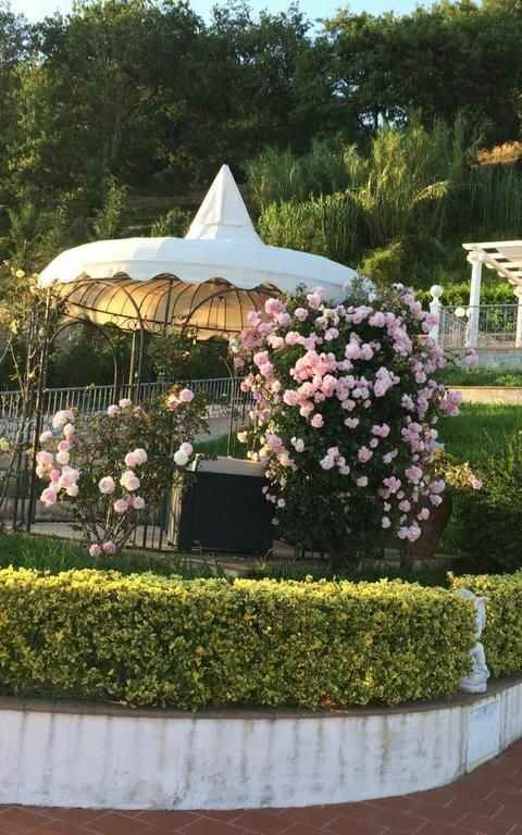 Villa Sophia: Trädgård