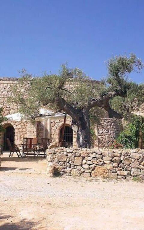 Tia Trullo: Trädgård, Utomhus