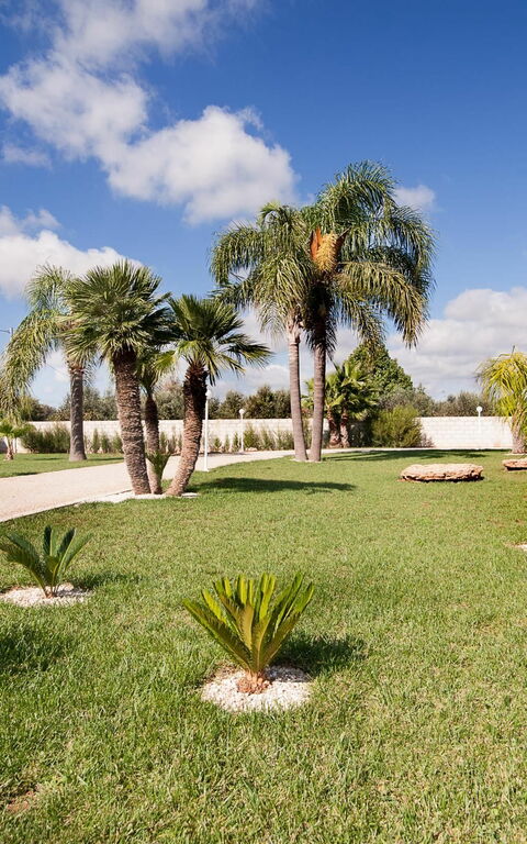 Meadow Luxury Villa: Trädgård, Utomhus