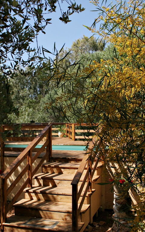 Villa Serena Maria: Trädgård, Utomhus