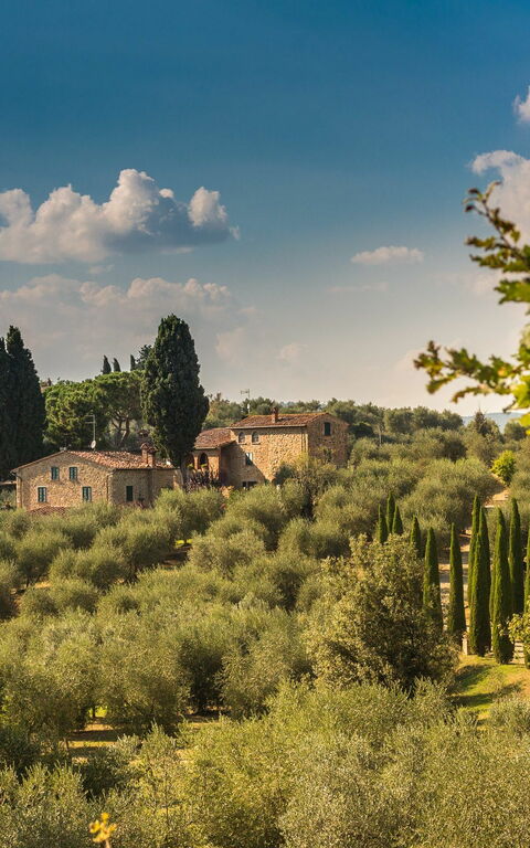 Villa Poggiospinoso: Visningar