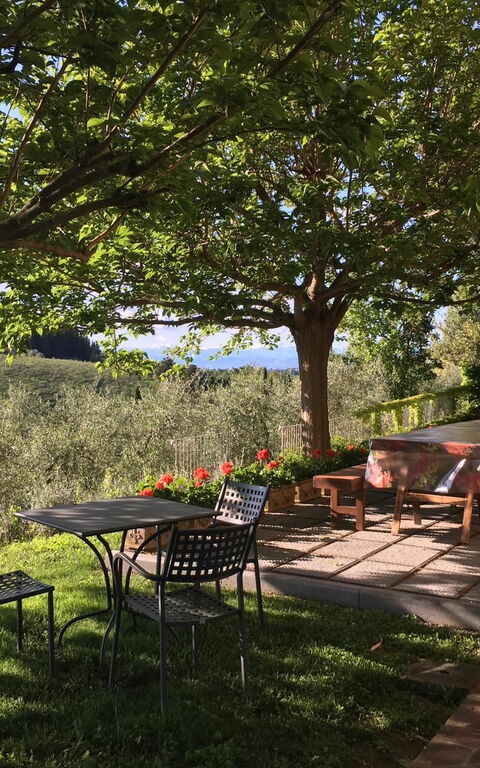 Tenuta Cambiano: Bekvämligheter, Trädgård, Utomhus