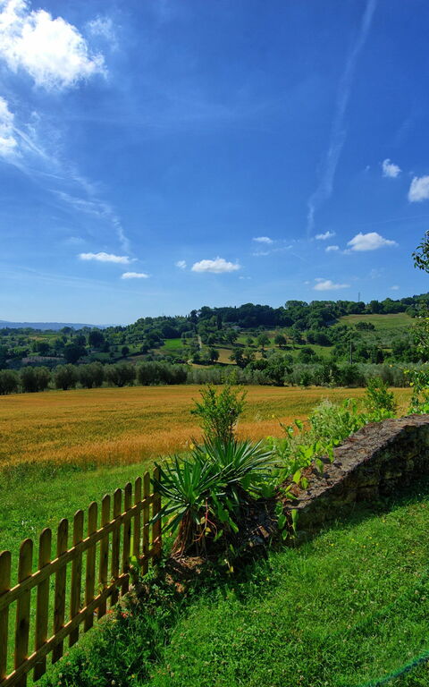 Villa Sarteano: Trädgård