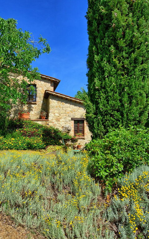 Villa Sarteano: Exteriör, Trädgård