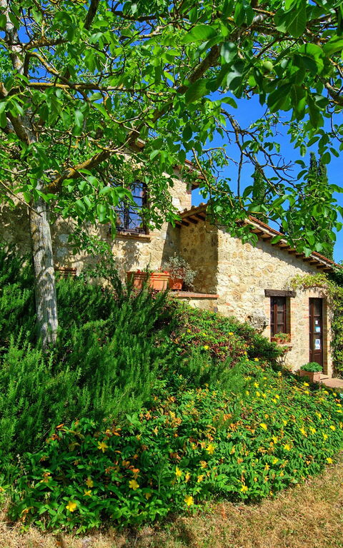 Villa Sarteano: Trädgård