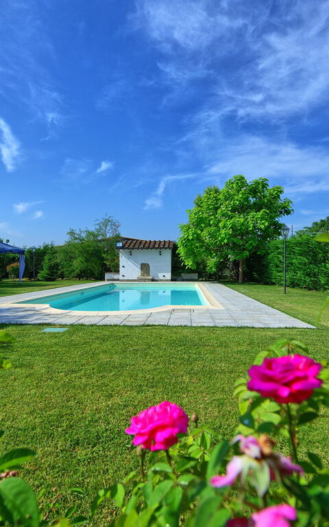 Casale Tiziano: slå samman