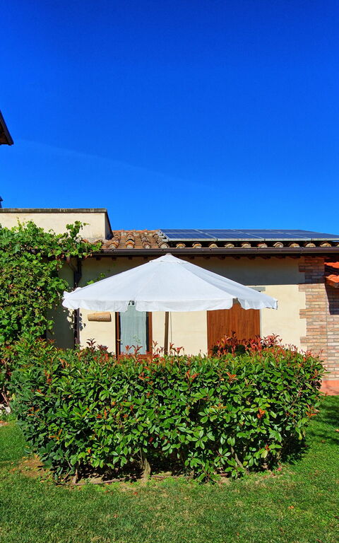 Casale Tiziano: Trädgård