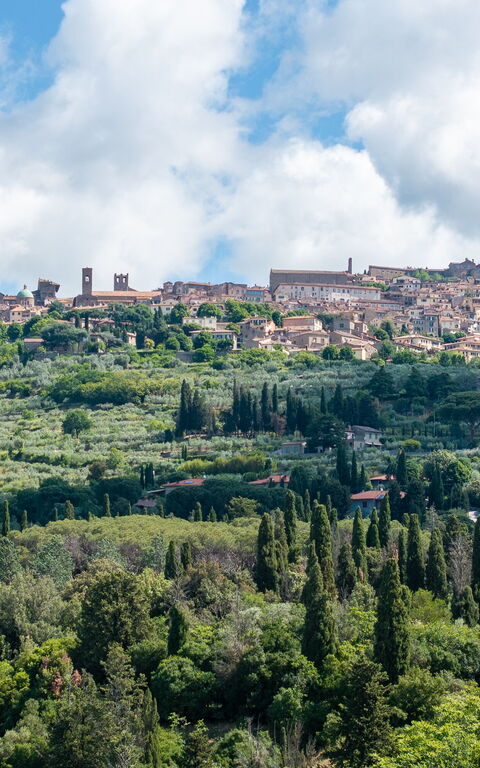 Casa La Fonte: Visningar