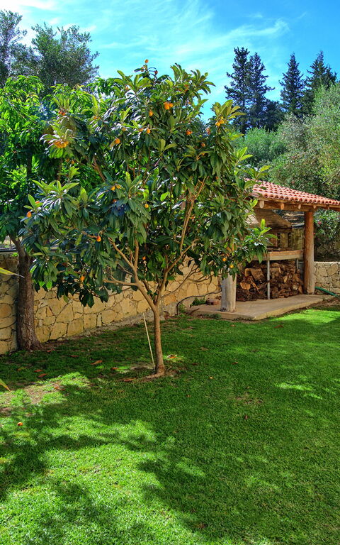 Villa Vrisses: Trädgård, Utomhus