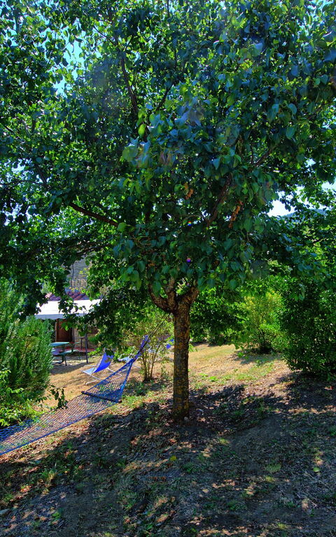 Borgo Veronica: Trädgård