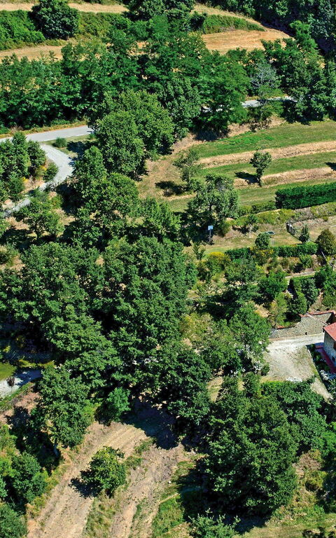 Borgo Veronica: Visningar