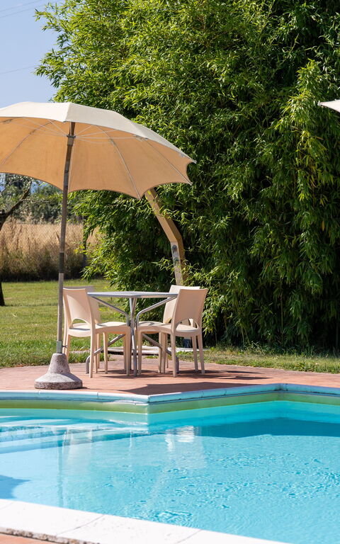 Villa Assisi: Exteriör, slå samman, Trädgård, Utomhus