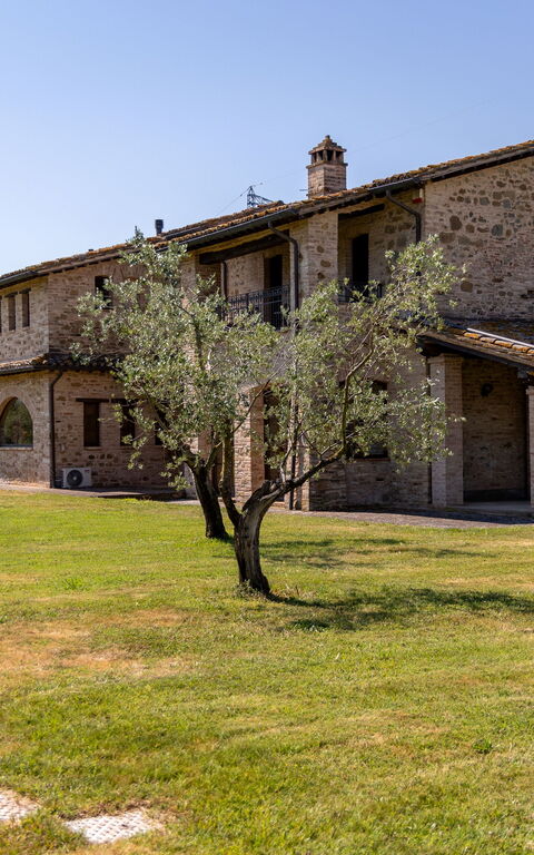 Villa Assisi: Exteriör, Trädgård, Utomhus