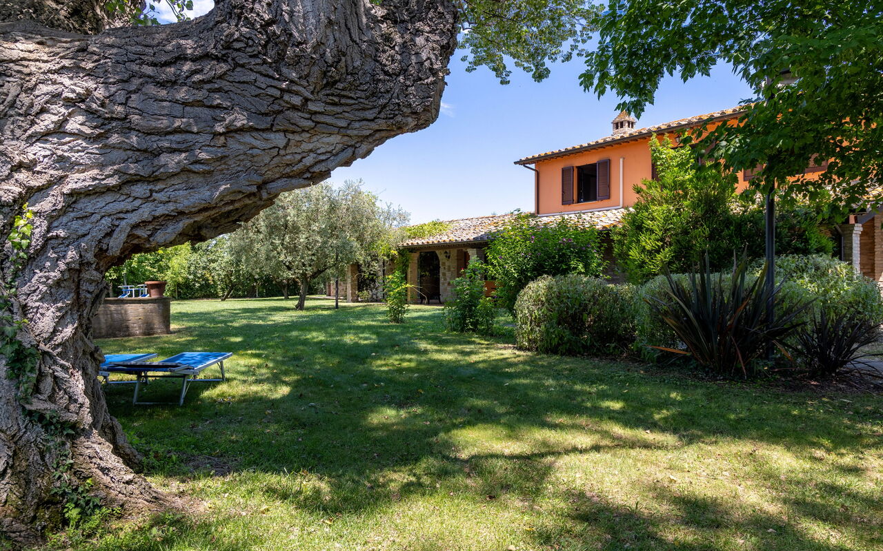 Villa Reale: Exteriör, Trädgård, Utomhus