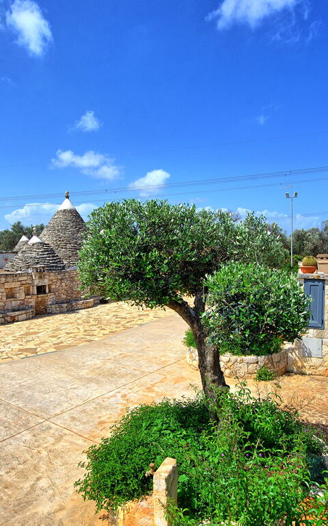 Trullo Santo Stefano: Trädgård, Utomhus