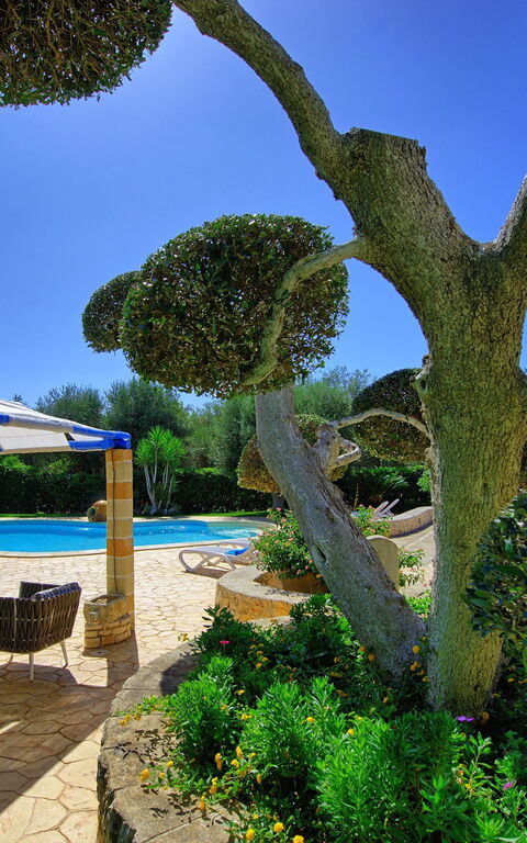 Lamia Santo Arcangelo: Exteriör, slå samman, Trädgård