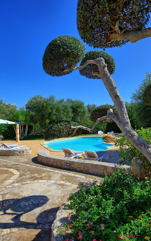 Lamia Santo Arcangelo: slå samman, Trädgård