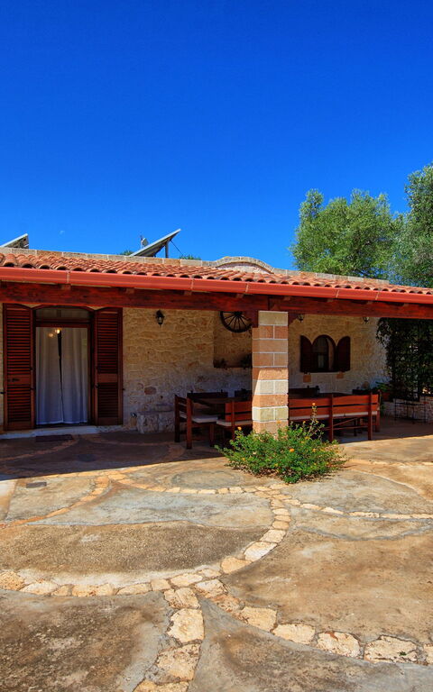 Lamia Santo Arcangelo: Exteriör