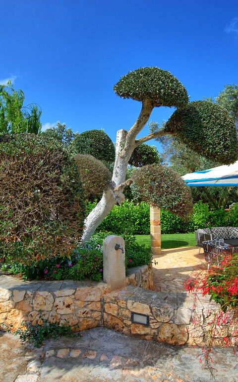 Lamia Santo Arcangelo: Trädgård, Utomhus