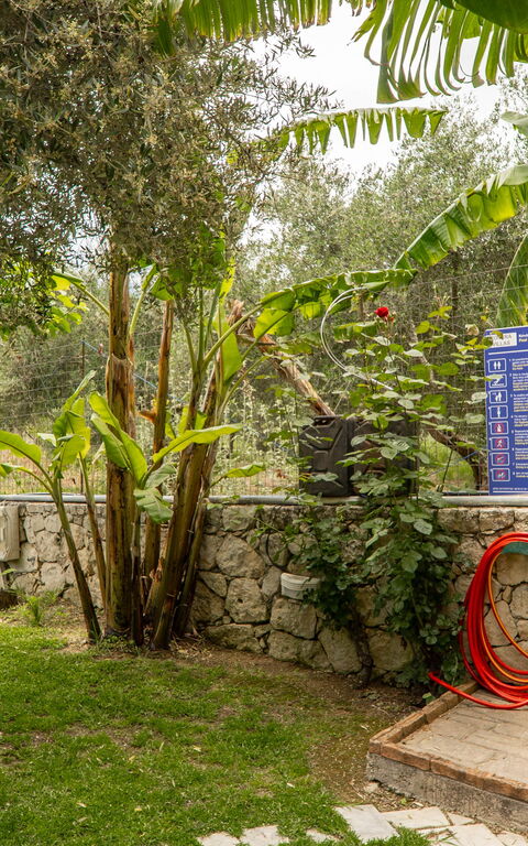 Villa Nipos: Trädgård, Utomhus