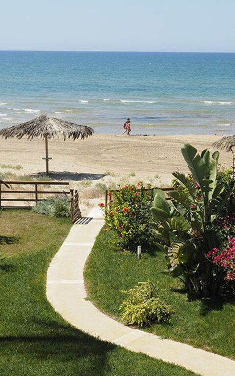 Villa Ariel: Trädgård