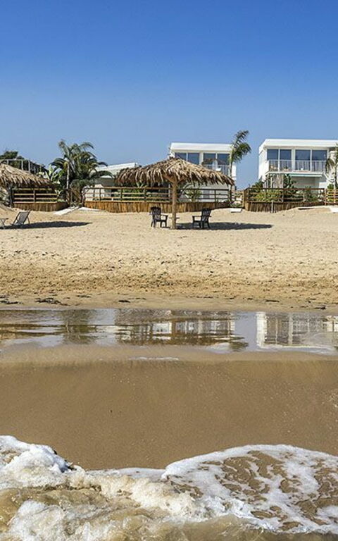 Villa Ariel: Visningar