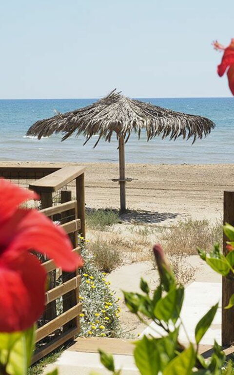 Villa Ariel: Utomhus