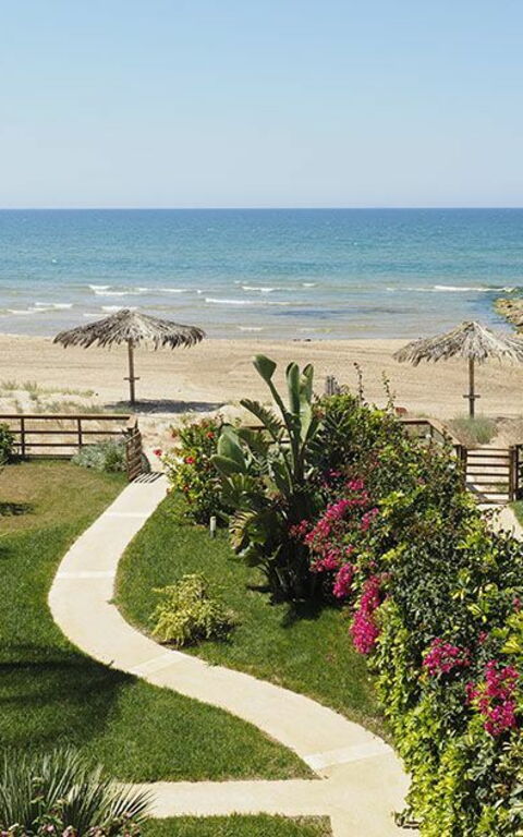 Villa Ariel: Trädgård